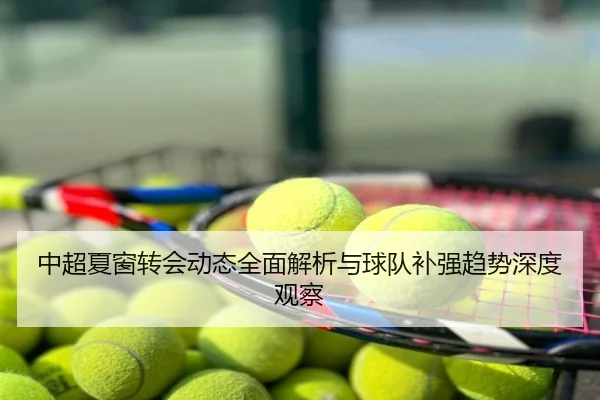 中超夏窗转会动态全面解析与球队补强趋势深度观察