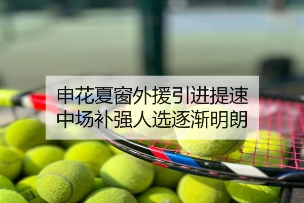 申花夏窗外援引进提速 中场补强人选逐渐明朗