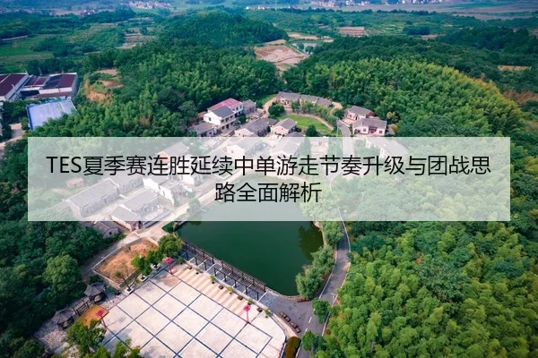 TES夏季赛连胜延续中单游走节奏升级与团战思路全面解析