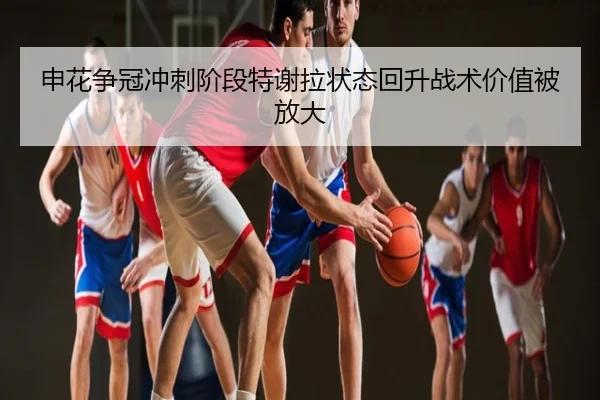 申花争冠冲刺阶段特谢拉状态回升战术价值被放大